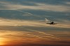Thumbs/tn_DSC_915811111.jpg