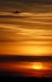 Thumbs/tn_Dsc_9166.jpg