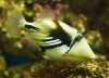 Thumbs/tn_Dsc_7043.jpg