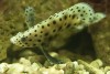 Thumbs/tn_Dsc_7044.jpg