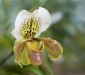 Thumbs/tn_Dsc_7075.jpg