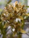 Thumbs/tn_Dsc_7078.jpg