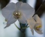 Thumbs/tn_Dsc_7089.jpg