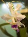 Thumbs/tn_Dsc_7100.jpg