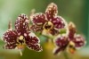 Thumbs/tn_Dsc_7101.jpg
