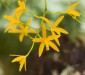 Thumbs/tn_Dsc_7103.jpg