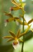 Thumbs/tn_Dsc_7106.jpg