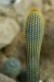 Thumbs/tn_Dsc_7112.jpg