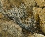 Thumbs/tn_Dsc_7120.jpg
