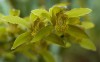 Thumbs/tn_Dsc_7132.jpg