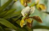 Thumbs/tn_Dsc_7134.jpg