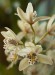 Thumbs/tn_Dsc_7140.jpg